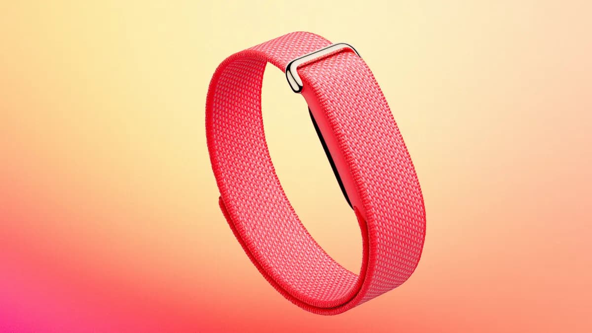 Google සමාගම විසින් Fitbit Air හඳුන්වා දෙයි